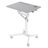 Вид Стол для ноутбука CACTUS FDS101 для дома и офиса Серый/белый, CS-FDS101WGY