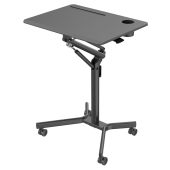 Вид Стол для ноутбука CACTUS FDS101 для дома и офиса Чёрный/чёрный, CS-FDS101BBK