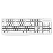 Клавиатура мембранная Acer OKW301 Проводная белый, ZL.KBDCC.01B
