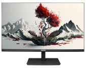 Монитор RDW Computers RDW2401K 23.8" IPS чёрный, 2401K/F08В3120V2A1B