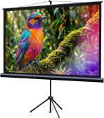 Экран напольный Lumien Eco Picture 227x130 см 16:9, LEV-100115