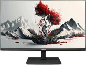 Монитор RDW Computers RDW2401K 23.8" LED IPS чёрный, 2401K/F00B0100V2A1H