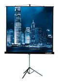 Экран напольный Lumien Master View 203x203 см 1:1, LMV-100109