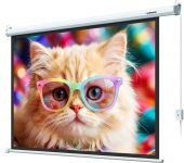Экран настенно-потолочный Lumien Eco Control 227x157 см 16:9 с электроприводом, LEC-100119