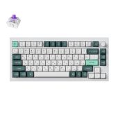 Клавиатура механическая Keychron Q1 HE беспроводная и проводная белый, Q1H-P1P-RU
