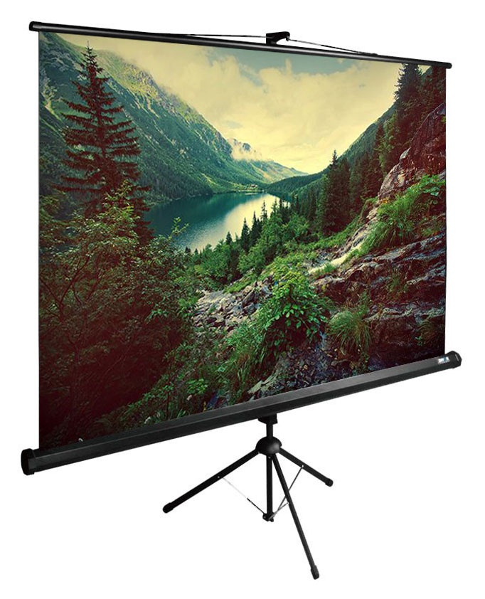 Экран на штативе CACTUS TriExpert PSTE 220x220 см 1:1 ручное управление, CS-PSTE-220x220-BK