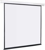 Экран настенно-потолочный Lumien Master Control 244x244 см 1:1 с электроприводом, LMC-100105