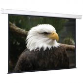 Экран настенно-потолочный ScreenMedia Champion 244x244 см 1:1 с электроприводом, SCM-1106