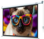 Экран настенно-потолочный Lumien Eco Control 192x137 см 16:9 с электроприводом, LEC-100118