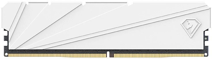 Модуль памяти Netac Shadow S 16 ГБ DIMM DDR4 3200 МГц, NTSSD4P32SP-16W