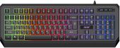 Клавиатура мембранная Acer OKW300 Проводная чёрный, ZL.KBDCC.019