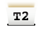 T2