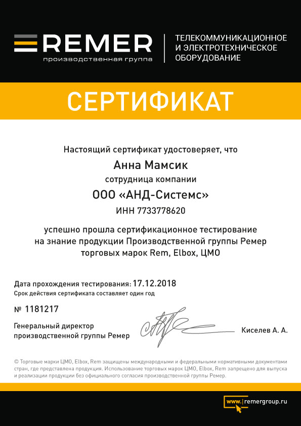 Анна Мамсик - сертифицированный специалист продукции Remer марок Rem, Elbox, ЦМО 2019