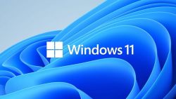 Обзор новой ОС Windows 11 от Microsoft