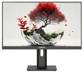 Монитор RDW Computers RDW2401K 23.8" IPS чёрный, 2401K/F08B3100V2A1A