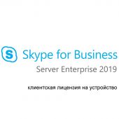 Вид Клиентская лицензия Device Microsoft Skype Srv. Ent 2019 CAL Single CSP Бессрочно, DG7GMGF0F4LP-0003