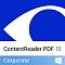 Фото-1 Подписка Content AI ContentReader PDF 15 Corporate Рус. ESD 12 мес., CR15-3S1W01/AD