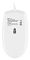 Фото-2 Мышь OKLICK 147M Проводная белый, 1868746