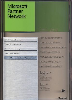 Microsoft Network Partner - Gold Volume Licensing