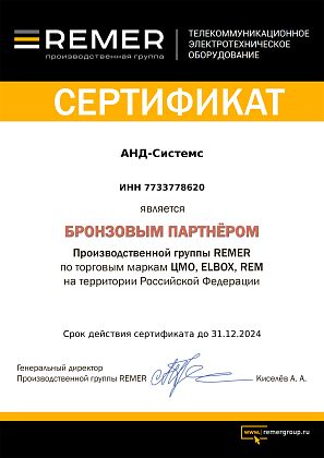 Бронзовый партнер производственной группы Remer