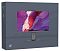 Фото-2 Моноблок Digma Unity 23.8&quot; Monoblock, DM23P3-8CXW02