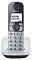 Фото-1 DECT-телефон Panasonic KX-TGE510RUS серебристый, KX-TGE510RUS