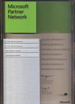 Microsoft Network Partner - Gold Volume Licensing