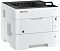 Фото-2 Принтер Kyocera P3155dn A4 лазерный черно-белый, P3155DN
