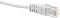 Фото-5 Патч-корд ITK UTP Cat 5e PC01-C5EU-3M-G, серый 3 м — крупный план коннектора RJ45 спереди под углом. Видны контактная часть штекера, прозрачный корпус и серый литой хвостовик. Фото показывает контактный узел и конструкцию разъёма для страницы товара.