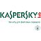 Фото-1 Право пользования Kaspersky Security для файловых серверов Рус. ESD 50-99 12 мес., KL4231RAQFS