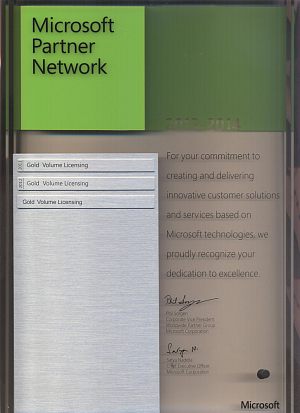 Microsoft Network Partner - Gold Volume Licensing