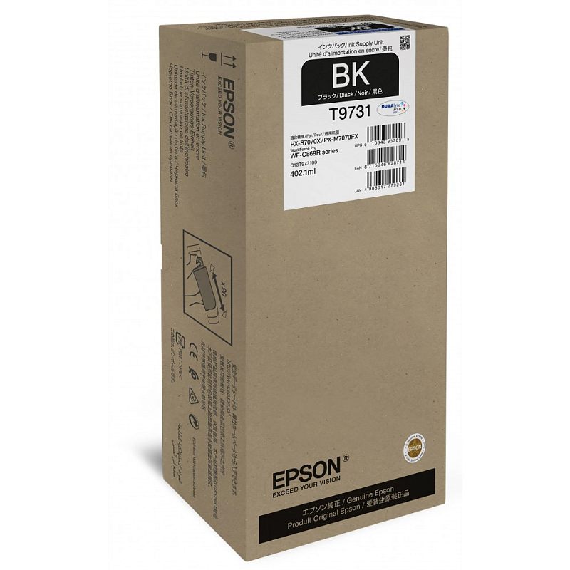 Фото Картридж EPSON T9731 Струйный Черный, C13T973100