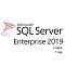 Фото-1 Лицензия на 2 ядра Microsoft SQL Server Enterprise 2019 Single CSP 12 мес., DG7GMGF0FKZV-0004