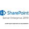 Фото-1 Клиентская лицензия User Microsoft SharePoint Enterprise 2019 CAL Single OLV Бессрочно, 76N-03894