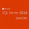 Фото-1 Клиентская лицензия User Microsoft SQL Server CAL 2016 Single OLP Бессрочно, 359-06322