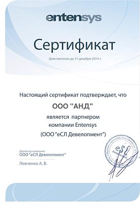 Entensys Partner