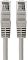 Фото-2 Патч-корд REXANT UTP Cat 5e 3 м, серый &mdash; фронтальный вид двух разъёмов RJ45; различимы контактные дорожки, прозрачные наконечники и прямые серые хвостовики; фото важно для страницы, так как показывает тип сетевых штекеров и контактную группу.