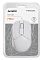Фото-6 Мышь A4Tech Fstyler FM12S Проводная белый, FM12S  WHITE