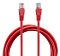 Фото-2 Патч-корд Buro UTP Cat 5e UTP-5E-1.5M-R, красный 1,5 м &mdash; крупный план двух коннекторов RJ45 на фоне свернутого кабеля; видны контакты, цветные жилы внутри и рифлёные хвостовики; изображение помогает рассмотреть разъёмы на странице товара.