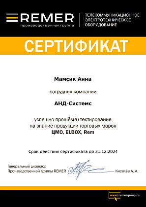 Анна Мамсик - сертифицированный специалист продукции Remer марок Rem, Elbox, ЦМО