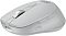 Фото-2 Мышь Acer OMR310 Беспроводная серый, ZL.MCECC.033