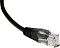 Фото-4 Патч-корд Lanmaster UTP Cat 5e TWT-45-45-0.3-BK, чёрный, 0,3 м — крупный план одного коннектора RJ45 сбоку; видны прозрачный корпус, контактные пины, чёрный литой колпачок и участок чёрной оболочки кабеля. Фото показывает конструкцию штекера для страницы товара.