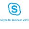 Фото-1 Право пользования Microsoft Skype for Business 2019 Single OLP Бессрочно, 6YH-01179