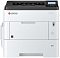 Фото-1 Принтер Kyocera ECOSYS P3260dn A4 лазерный черно-белый, 1102WD3NL0