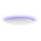 Фото-1 Умный светильник Yeelight Arwen Ceiling Light 450C, 4 000лм, свет - RGB, YLXD013-B
