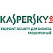 Фото-1 Право пользования Kaspersky Endpoint Security Расширенный Рус. ESD 20-24 12 мес., KL4867RANFS