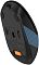 Фото-10 Мышь A4Tech FB10CS Беспроводная чёрный, FB10CS USB ASH BLUE