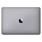 Фото-3 Ноутбук Apple MacBook 12&quot; 2304x1440, MNYF2RU/A