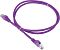 Фото-1 Патч-корд Lanmaster UTP Cat 6 3 м, фиолетовый, общий вид кабеля на светлом фоне: кабель уложен в кольцо, на обоих концах прозрачные разъёмы RJ45 с фиолетовыми колпачками, на оболочке видна маркировка; фото важно для страницы товара, так как показывает цвет, оконцовку и внешний вид кабеля.