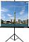 Фото Экран напольный Lumien Eco View 153x153 см 1:1, LEV-100106